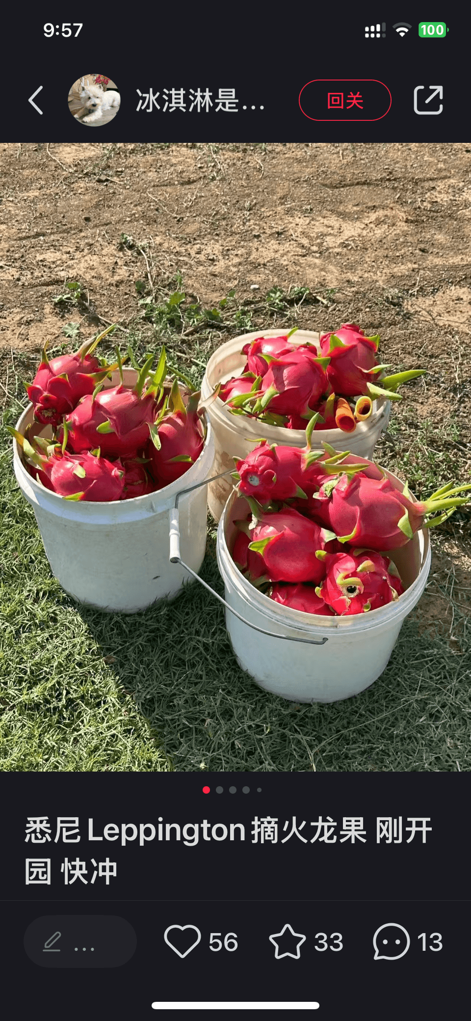 dragonfruits