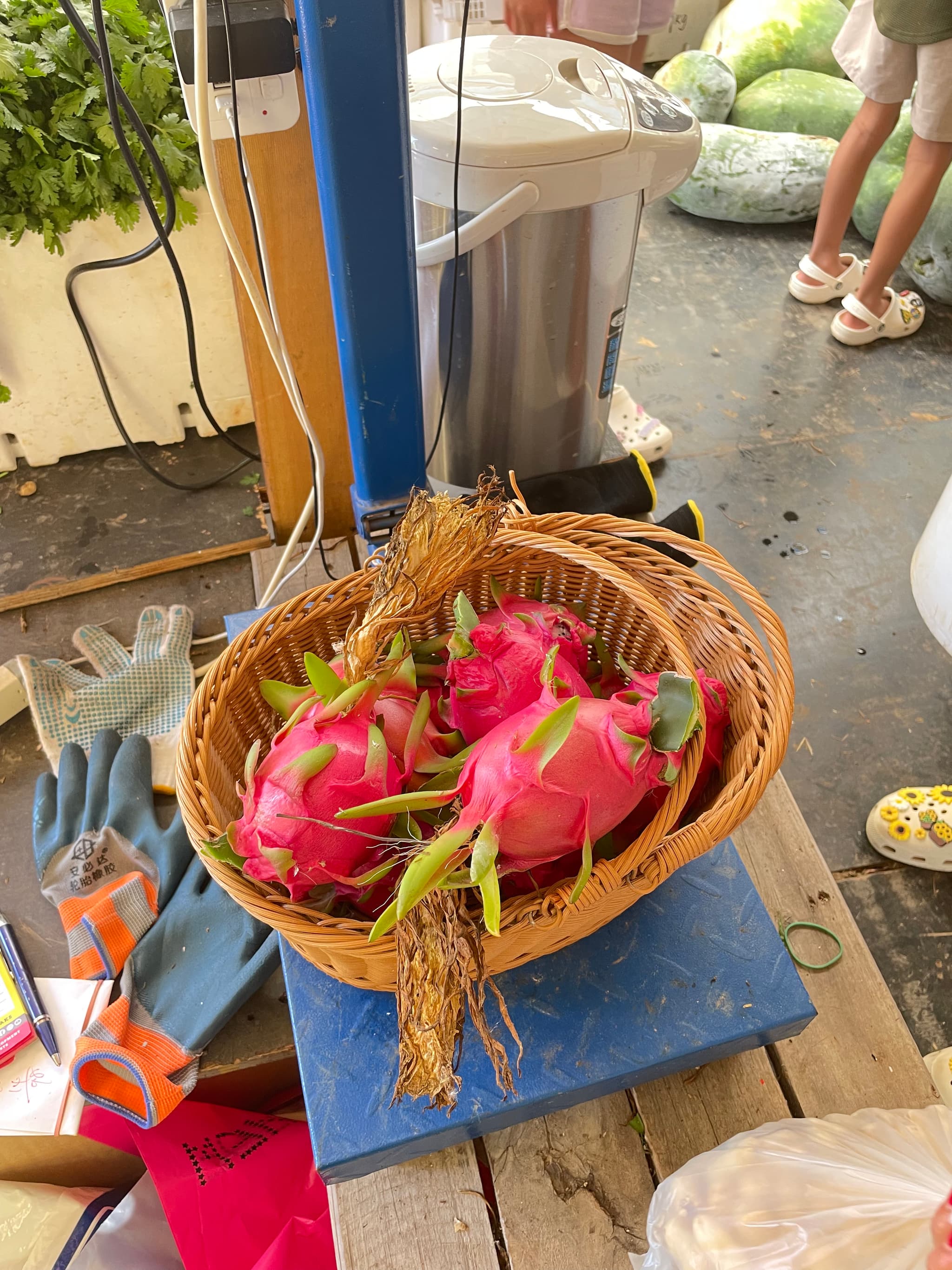 dragonfruits